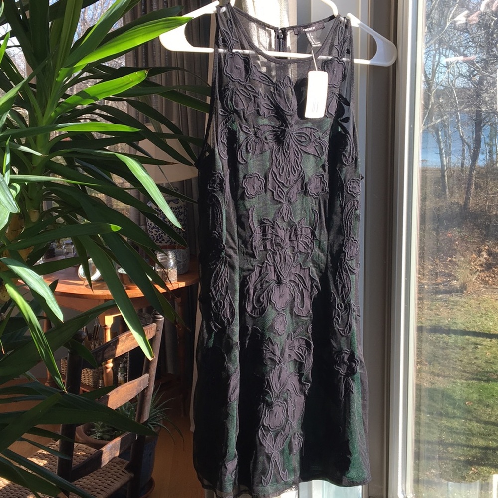 Green & Black Mesh Dress